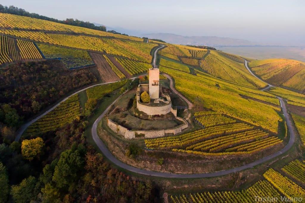 Aux Portes De Colmar Evasion Sur La Route Des Vins , A 5 Minutes De Colmar Ingersheim Exterior foto