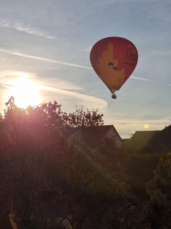 Aux Portes De Colmar Evasion Sur La Route Des Vins , A 5 Minutes De Colmar Ingersheim Exterior foto